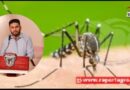 Elevado el registro de casos de Dengue en Chilpancingo