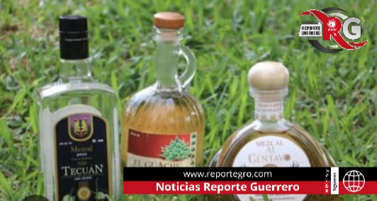 Solo 10 por ciento del mezcal que se produce en Guerrero está certificado