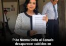 Pide Norma Otilia al Senado desaparecer cabildos en municipios rebasados por el narco