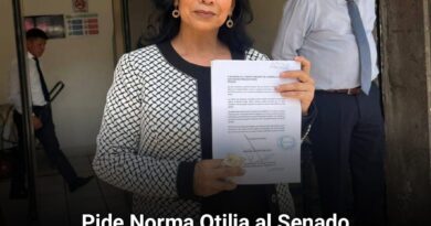Pide Norma Otilia al Senado desaparecer cabildos en municipios rebasados por el narco