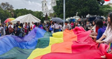 Guerrero: avances legales, pero la violencia persiste contra la comunidad LGBT+
